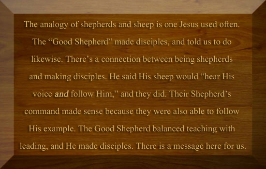 Shepherds and sheep